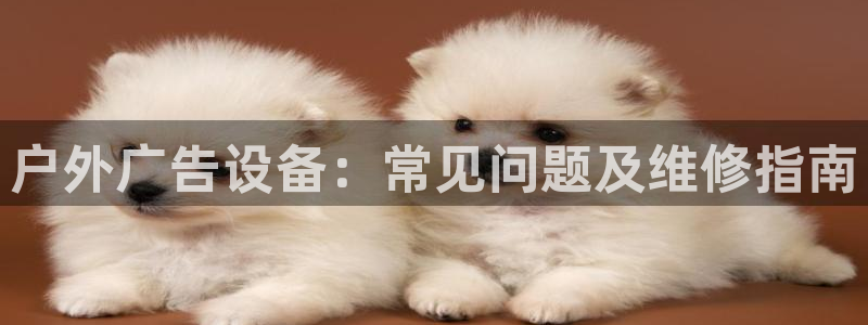 杏宇官方平台官网入口