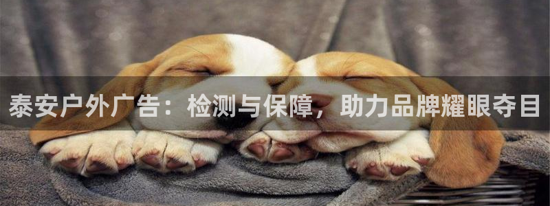 杏宇平台测速链接