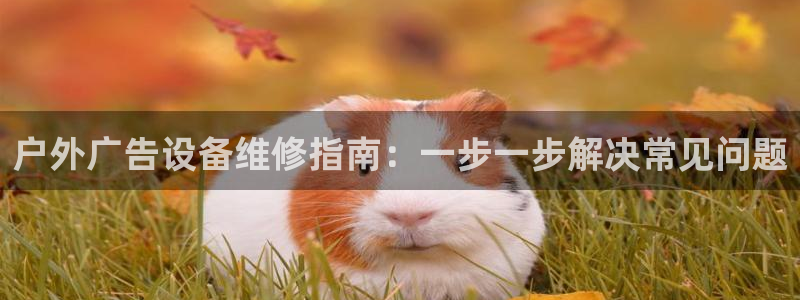 杏宇平台登录步骤图