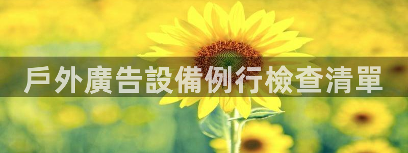 杏宇平台登录步骤是什么