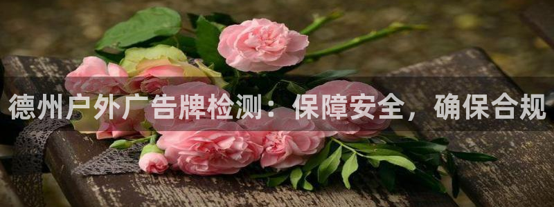 杏宇平台开户