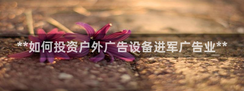 杏宇平台好吗