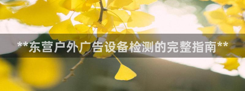 杏宇平台代理怎么赚钱