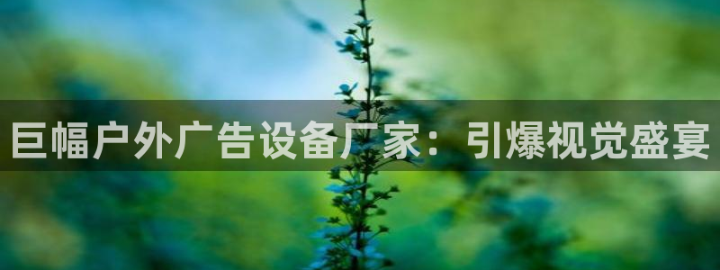 杏宇平台主管