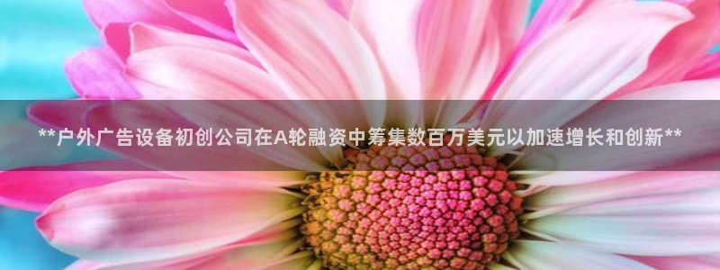 杏宇平台怎么样赚钱