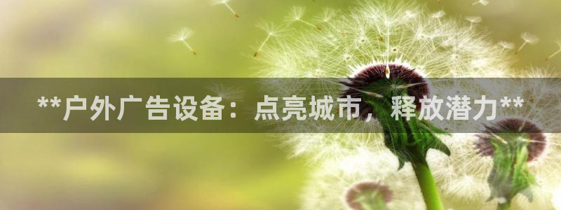 杏宇平台代理多少钱一个