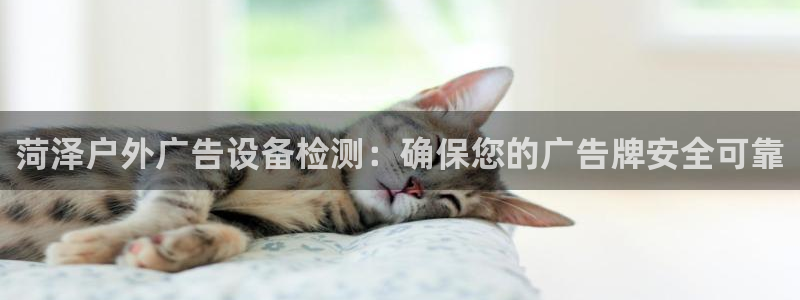 杏宇平台总代理