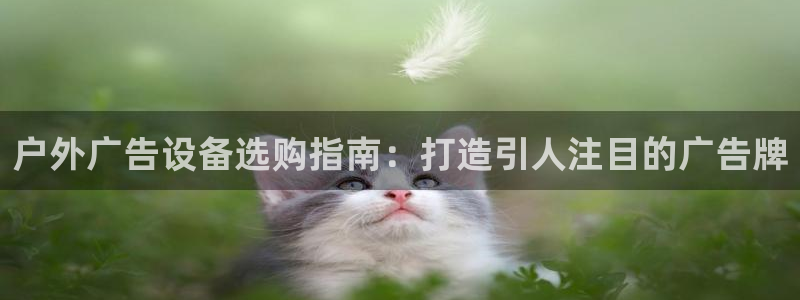 杏宇平台怎么样知乎