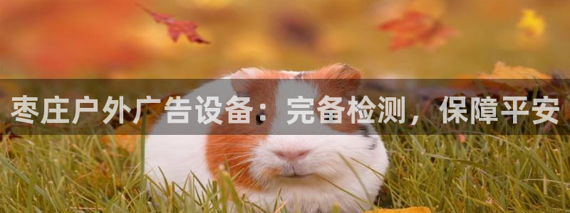 杏宇官方平台官网入口