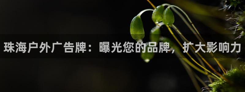 杏宇平台代理怎么样可靠吗