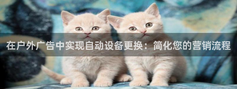杏宇平台总代理电话