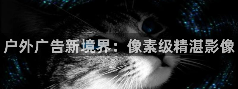 杏宇平台怎么样知乎