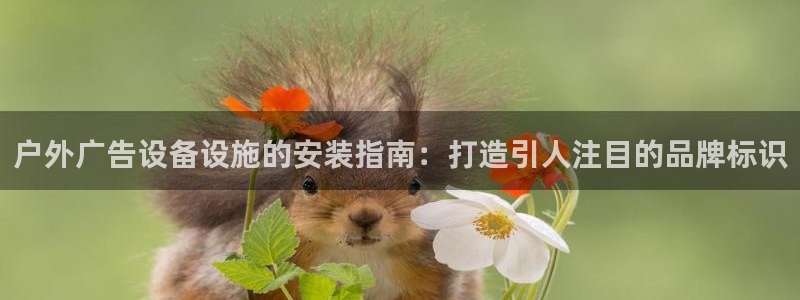 杏宇平台注册地址在哪里