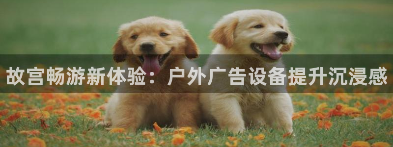 杏宇平台登录步骤图