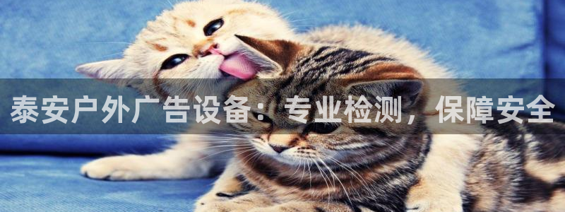 杏宇平台登陆
