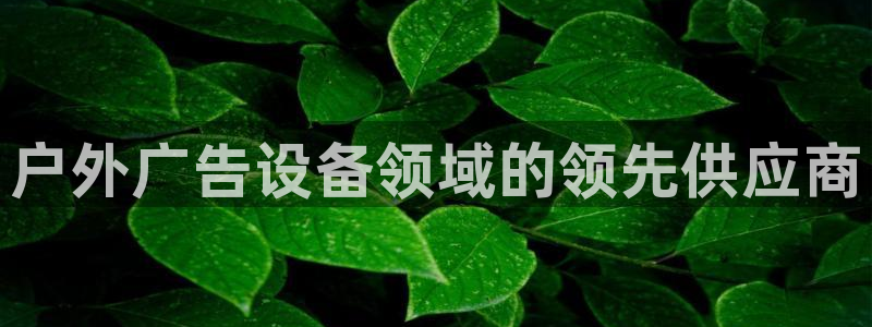 杏宇平台登录步骤是什么