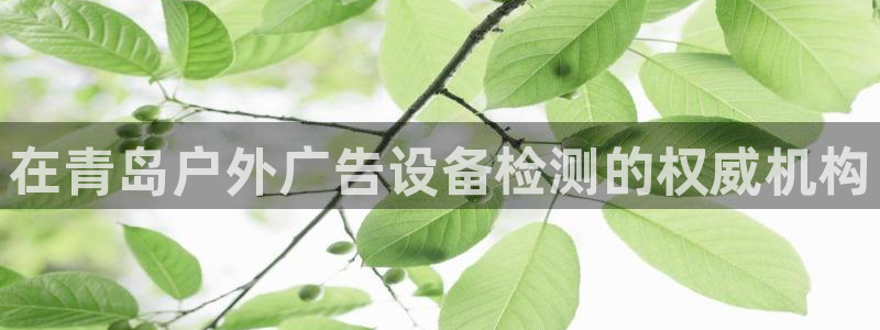 杏宇平台招商电话号码
