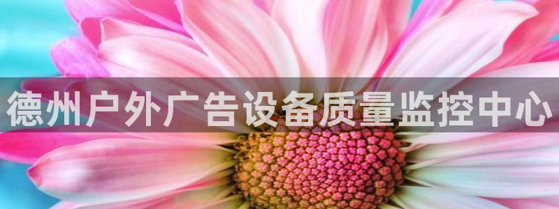 杏宇平台代理多少钱一个：德州户外广告设备质量监控中心