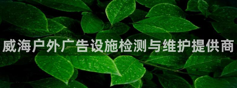 杏宇代理注册：威海户外广告设施检测与维护