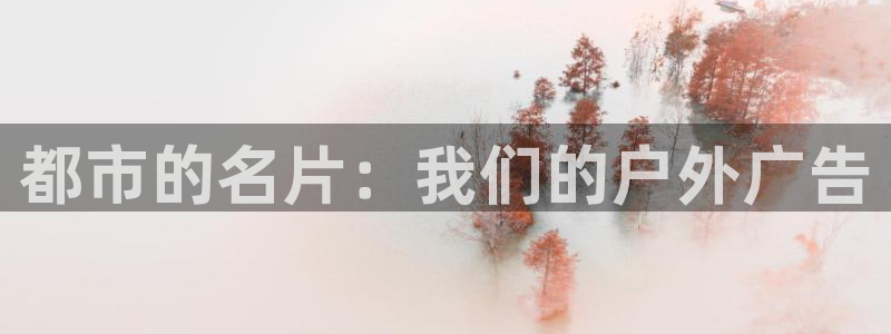 杏宇平台招商：都市的名片：我们的户外广告