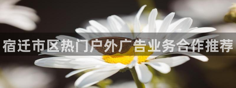 杏宇平台代理怎么赚钱快