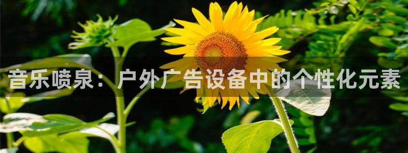 杏宇平台代理多少钱一个月：音乐喷泉：户外