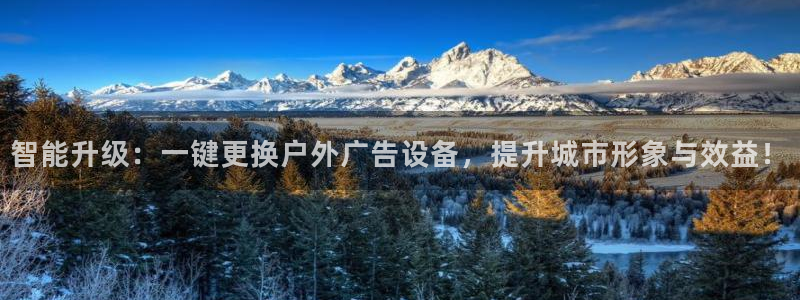 杏宇平台怎么样赚钱：智能升级：一键更换户