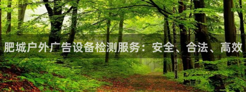 杏宇平台代理多少钱：肥城户外广告设备检测服务：安全、合法、高效