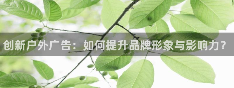 杏宇平台登录方法：创新户外广告：如何提升品牌形象与影响力？