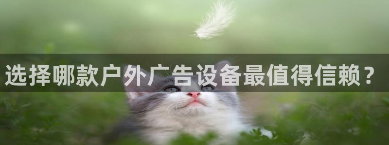 杏宇平台代理多少钱