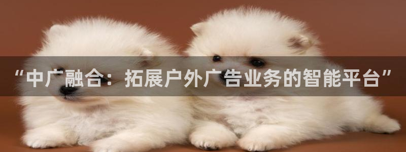 杏宇平台是什么：“中广融合：拓展户外广告业务的智能平台”