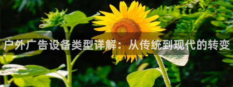 杏宇平台开户：户外广告设备类型详解：从传