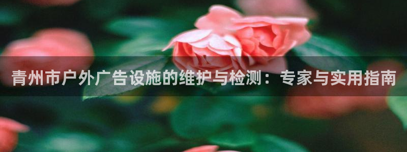 杏宇平台代理怎么赚钱的：青州市户外广告设