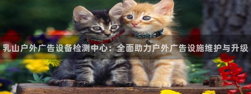 杏宇平台代理多少钱一次：乳山户外广告设备