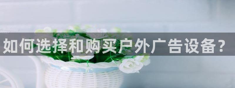 杏宇平台总代理是谁：如何选择和购买户外广