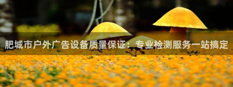 杏宇平台主管：肥城市户外广告设备质量保证