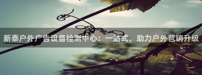 杏宇平台总代理