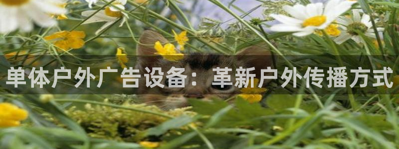 杏宇平台总代理是谁：单体户外广告设备：革