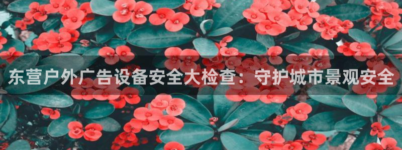 杏宇平台注册地址在哪里