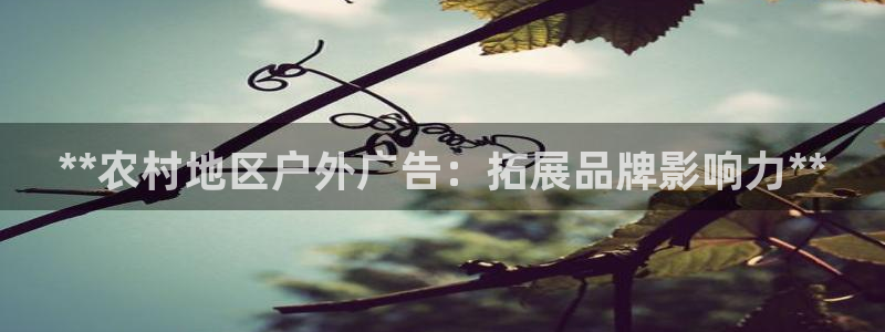 杏宇平台注册登录：**农村地区户外广告：拓展品牌影响力**