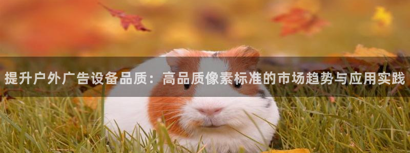 杏宇平台登录步骤是什么：提升户外广告设备品质：高品质像素标准的市场趋势与应用实践
