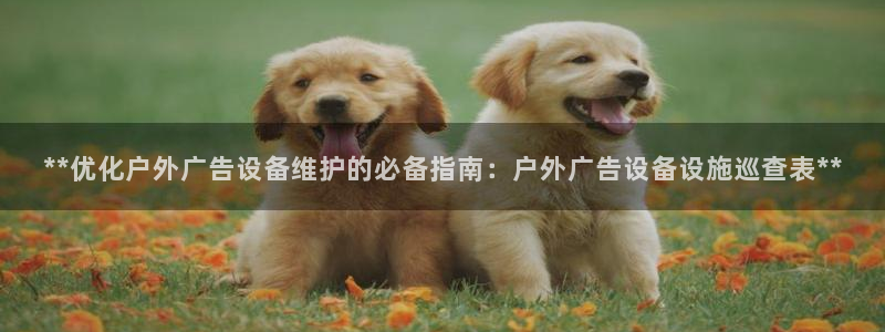 杏宇平台注册地址：**优化户外广告设备维护的必备指南：户外广告设备设施巡查表**