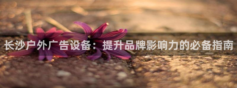 杏宇平台代理多少钱一次：长沙户外广告设备：提升品牌影响力的必备指南