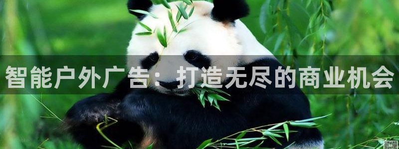 杏宇平台代理怎么样可靠吗