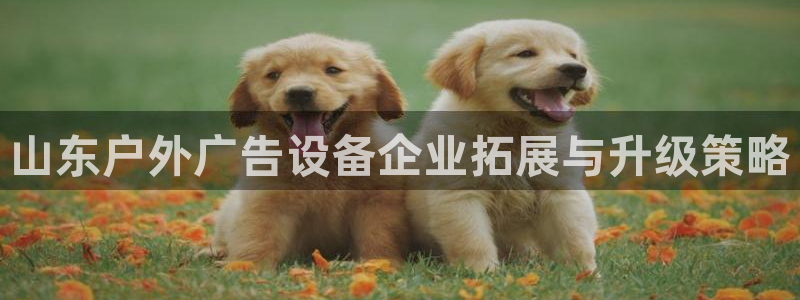 杏宇平台主管：山东户外广告设备企业拓展与升级策略