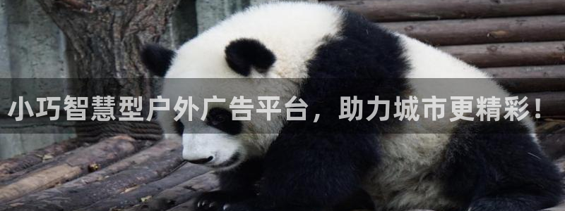 杏宇平台代理怎么样赚钱：小巧智慧型户外广告平台，助力城市更精彩！
