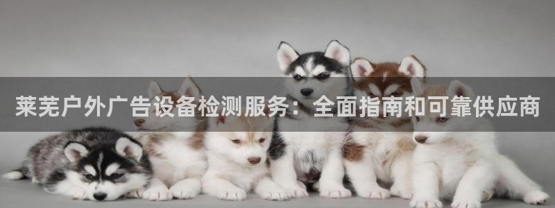 杏宇平台代理怎么赚钱：莱芜户外广告设备检测服务：全面指南和可靠供应商