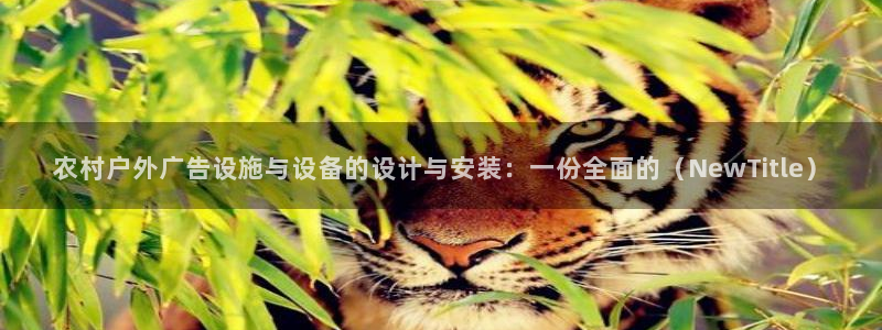 杏宇平台官网注册：农村户外广告设施与设备