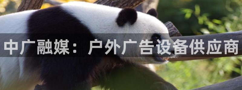 杏宇平台代理怎么样可靠吗：中广融媒：户外