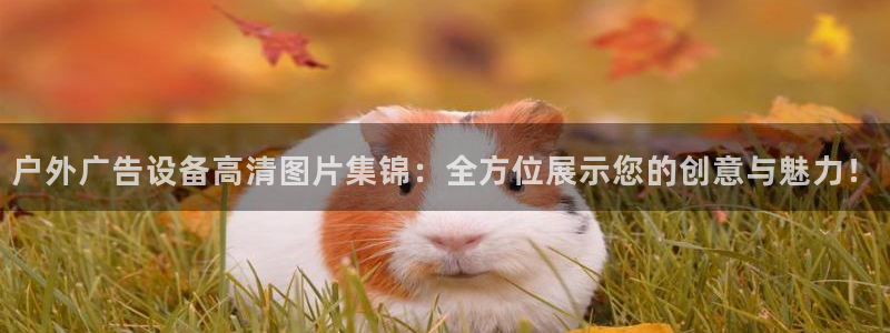 杏宇官方平台官网入口：户外广告设备高清图片集锦：全方位展示您的创意与魅力！